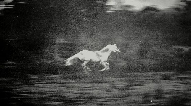 YURTSUZ TAYIN AKIBETİ